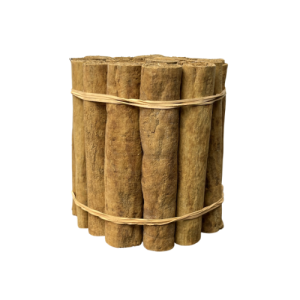 H2 Ceylon Cinnamon